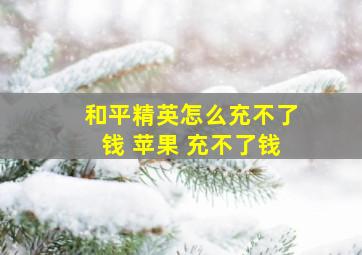 和平精英怎么充不了钱 苹果 充不了钱